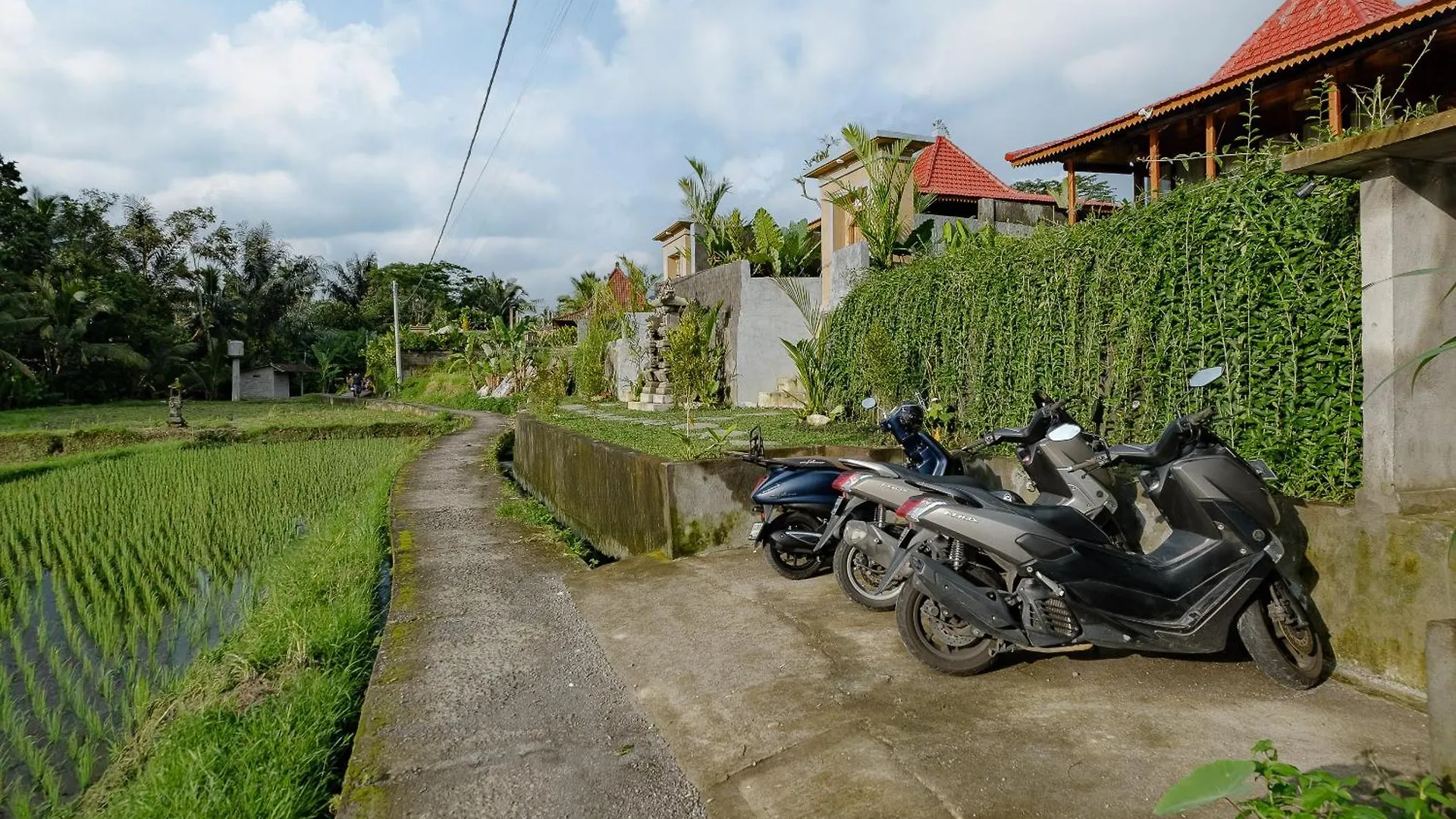 Carik Mesari Villas 1 Ubud   Ubud (Bali)